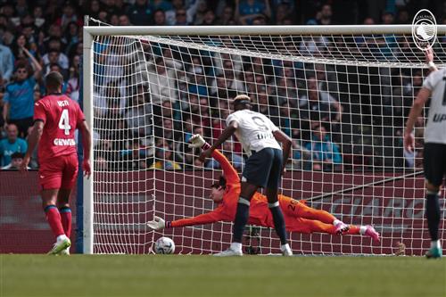 Iroko Bet App: Guide for Homeowners